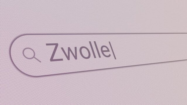 Search Bar Zwolle 
Close Up Single Line Typing Text Box Layout Web Database Browser Engine Concept