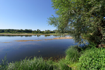 Alluvial forest along the Loire river near Saint-Benoît-sur-Loire village
