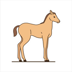 Cute young colt. Detailed drawing of animal. Contour vector illustration of horse.