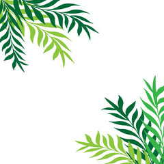 Obraz premium bamboo leaves background