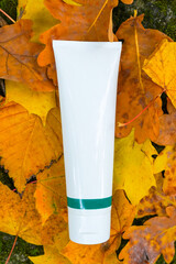 Naklejka na ściany i meble Unbranded white tube of cream or lotion on tha background from autumn leaves. tube for cosmetics products template. Autumn skincare