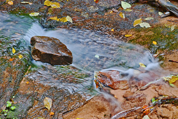 Bachlauf in der Wolfsschlucht