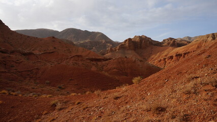 Fototapeta na wymiar Red sand of a mountain canyon