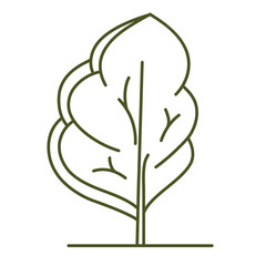 Frontal tree. Entourage design. For the landscape design plan. Transparent PNG.