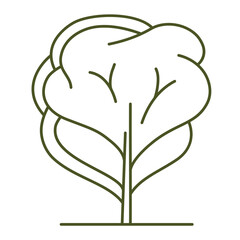 Frontal tree. Entourage design. For the landscape design plan. Transparent PNG.