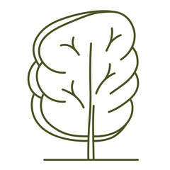 Frontal tree. Entourage design. For the landscape design plan. Transparent PNG.