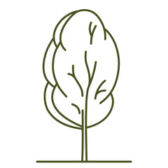 Frontal tree. Entourage design. For the landscape design plan. Transparent PNG.