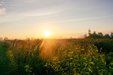 Picturesque sunrise over a field with green grass