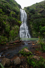 Naklejka na ściany i meble Scenic view of Karekare falls in the west coast of Auckland, New Zealand.