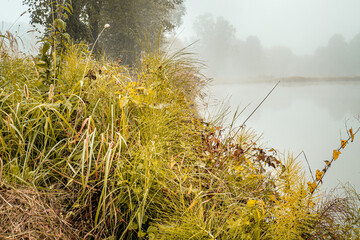 mgła nad stawami hodowlanymi jesienią na Śląsku w Polsce © Franciszek