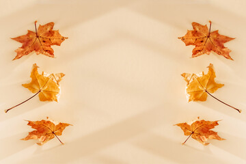 Naklejka na ściany i meble Abstract autumn background with maple tree leaves and shadows. Flat lay, top view. Copy space. Minimal concept.