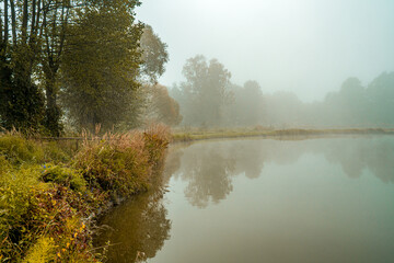 mgła nad stawami hodowlanymi jesienią na Śląsku w Polsce - obrazy, fototapety, plakaty