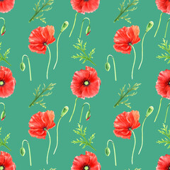 Seamlesss pattern with red wild poppies isolated on green background