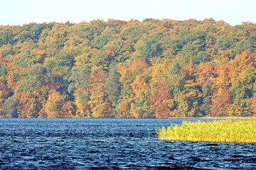 Blick auf ein Seeufer