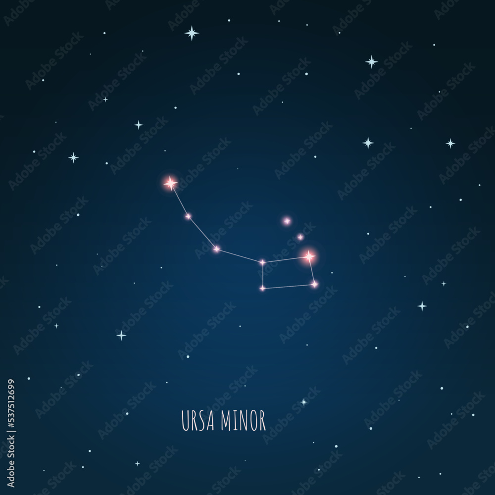 Canvas Prints constellation ursa minor on the background of starry sky. constellation scheme collection vector ill