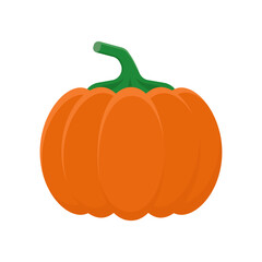 Pumpkin.Color vector illustration in cartoon flat style. Isolated on white background.	