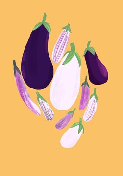 Illustrated varieties of eggplant