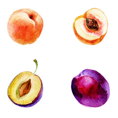 Watercolor illustration, set. Fruit. Plums and peaches. - 537513446