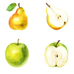 Watercolor illustration, set. Fruit. Pear and apple.