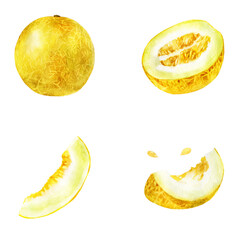 Watercolor illustration, set. Melon, half melon, a piece of melon, a slice of melon. - 537513465