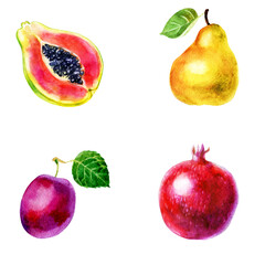 Watercolor illustration, set. Fruit. Pear, papaya, pomegranate and plum.