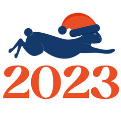 Year of the Rabbit, 2023, New Year sticker with transparent background