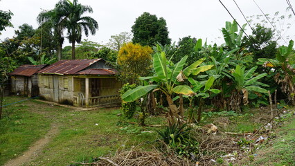 banana trees and wooden houses next to the main street in El Valle in the province of the Samana Peninsula in the Dominican Republic in the month of February 2022