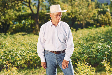 Senior man is standing in the garden at the daytime