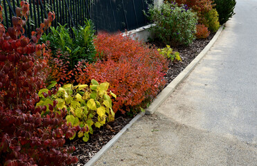 Shrubs pink flowering in a row of mulched white pebbles. The paving follows the sidewalk from interlocking paving.
