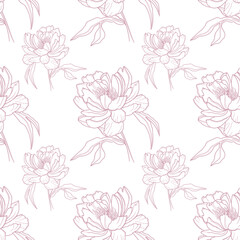 Seamless pattern, hand drawn outline pink. Peony flowers on a transparent background. © Julia
