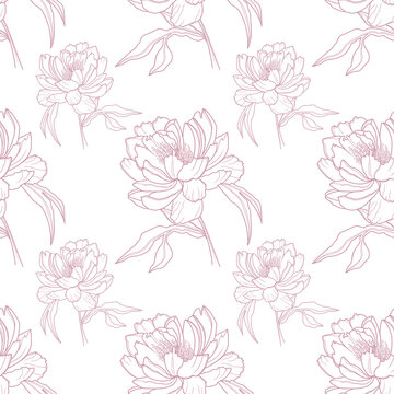 Seamless pattern, hand drawn outline pink. Peony flowers on a transparent background.