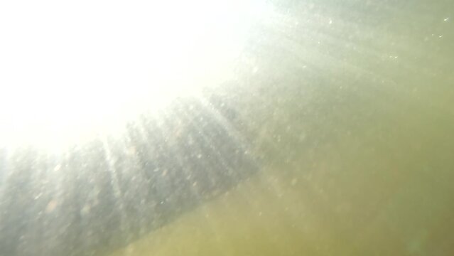 surfer on longboard is paddling filmed from under water 002