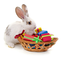 Rabbit near a basket with gifts.