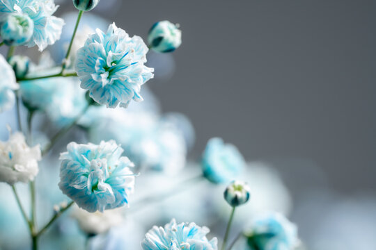 Haru Works Photos Images Assets Adobe Stock