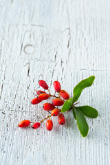 sprig of barberry on a cracked board