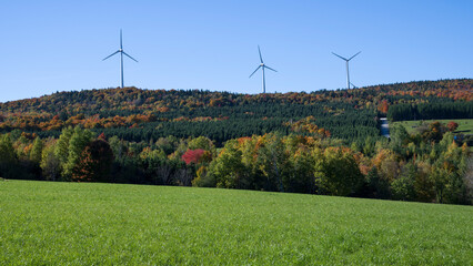 Wind turbines in some beautiful Quebec fall colors landscapes
