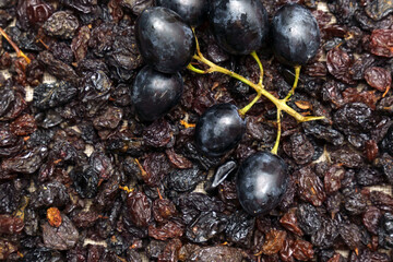 Dried black raisins in bowl with fresh organic grapes, background, selective focus