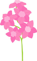 Pink watercolor wild flower illustration