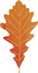 Obraz premium Watercolor oak leaf illustration