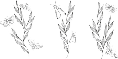 Set of contour illustrations. Branches with leaves, butterflies and moths.