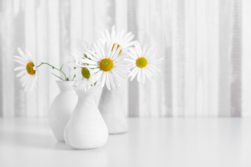 White flowers chamomile in white vases. Home floral decor. Elegant floral composition. Copy space, front view.
