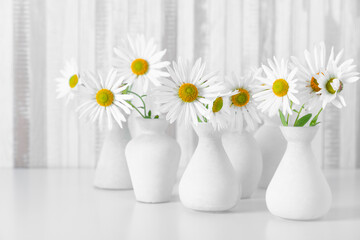 White flowers chamomile in white vases. Home floral decor. Elegant floral composition. Copy space, front view.