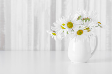 White flowers chamomile in white pot. Home floral decor. Elegant floral composition. Copy space, front view.