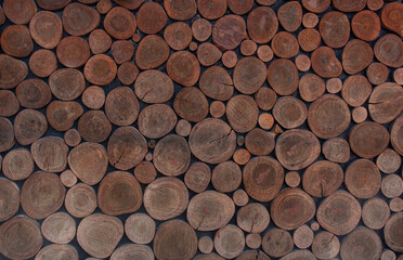 cross section of tree trunk background tree trimming, interior, backdrop,  stump background.