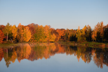 Trees in brilliant autumn color reflecting in a small lake in Latvia