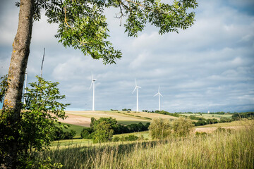 Éoliennes dans un champs
