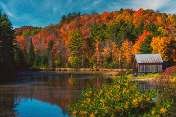 Serene and beautiful scenics and scenery landscapes from rural Ontario during the fall and autumn season of October, featuring outbuildings, churches and barns. - obrazy, fototapety, plakaty