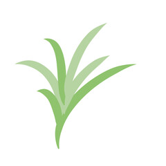 Nerdle Grass plant 