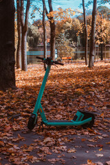 electric scooter in an autumn park 