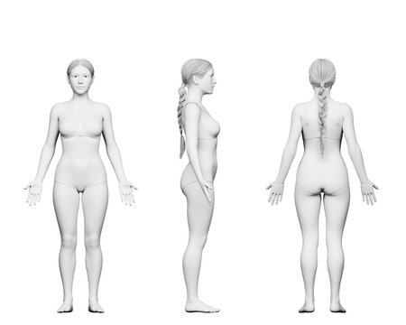 3d rendered medical illustration of a short female body